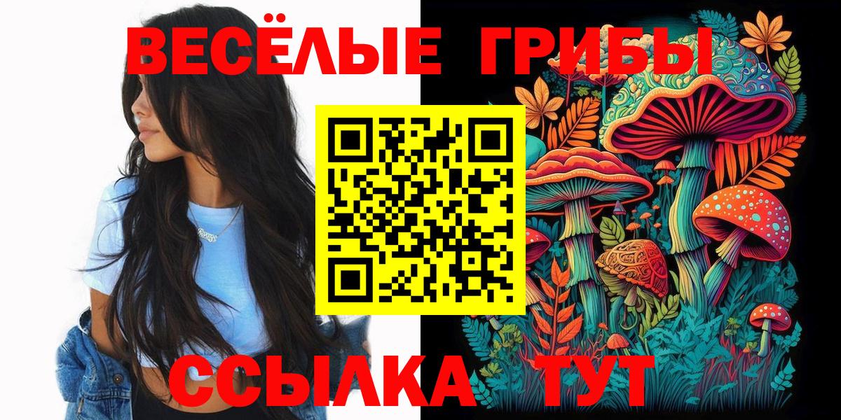 Псилоцибиновые грибы Cubensis Сунжа